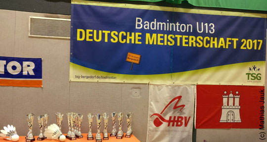 DEMU13